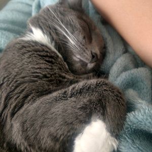 Meet your Posher, Alison